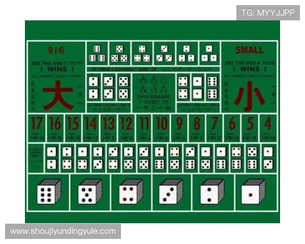 全面解析骰子赌大小的规则流程与常见误区新手必看攻略
